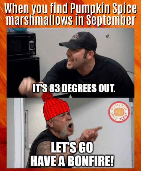 pumpkin spice marshmallow meme