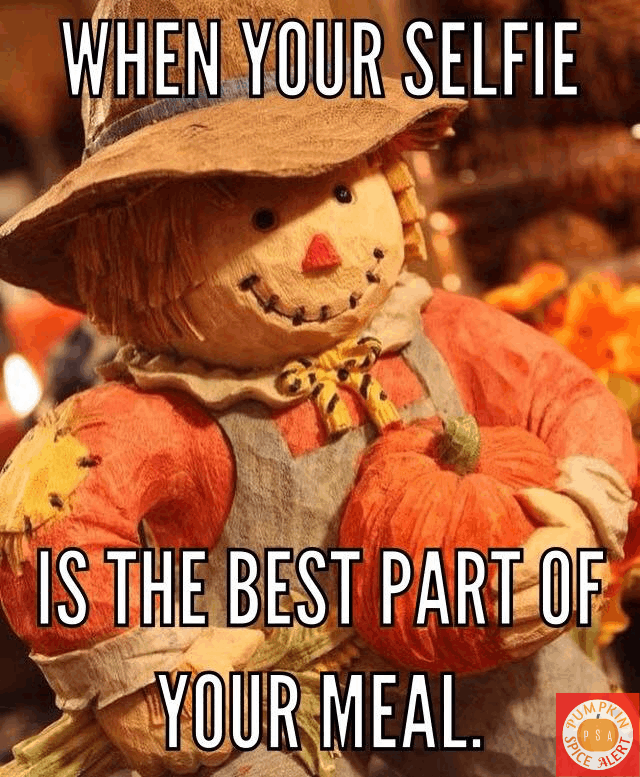 fall selfie meme