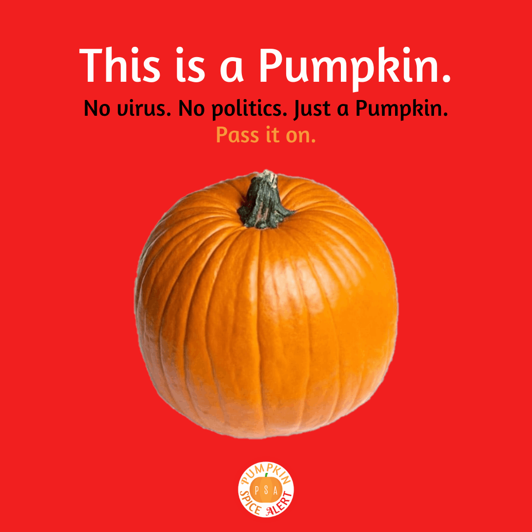 non-partisan pumpkin meme