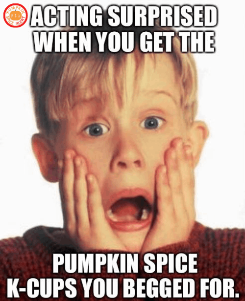 pumpkin spice 