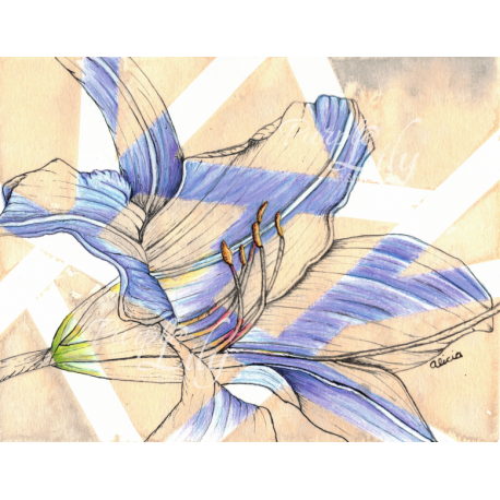 Purple Lily
