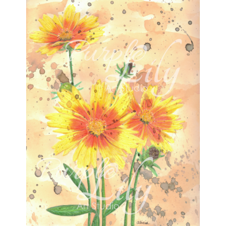 Orange and Yellow Flowers