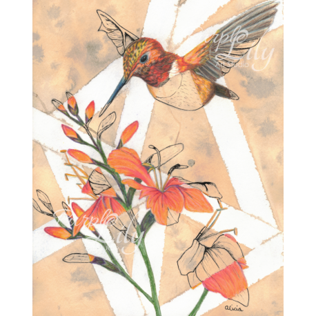 Hummingbird and Orange Flowers
