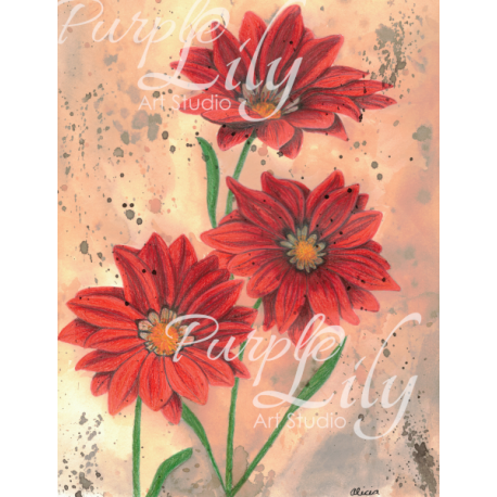 Red Gazanias