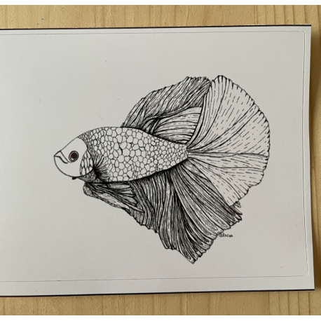 Vinyl Sticker - Grumpy Betta