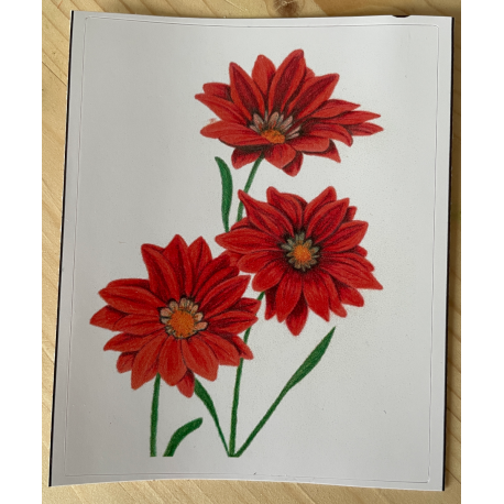 Vinyl Sticker - Red Gazania Flowers