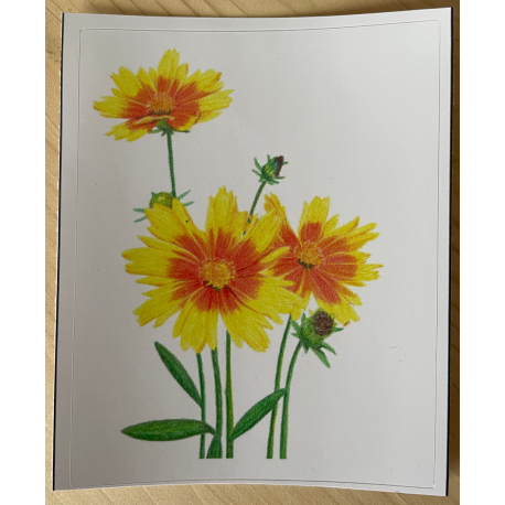 Vinyl Sticker - Orange and Yellow Flowers