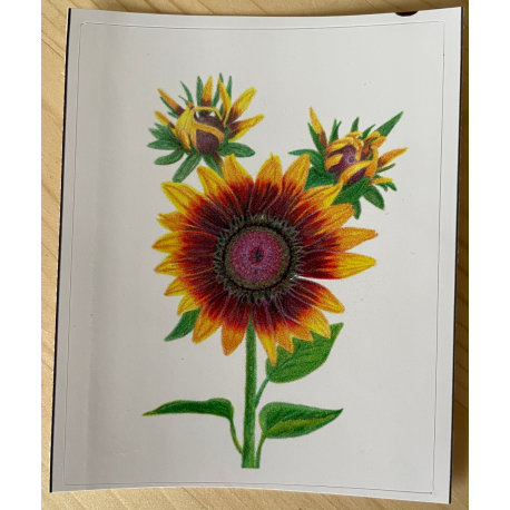Vinyl Sticker - My Son's Sunflowers