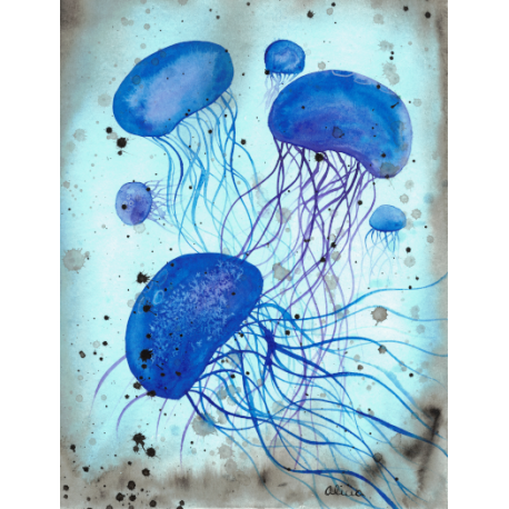 Serene Jellies