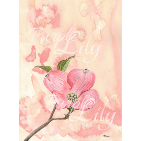 Pink Dogwood