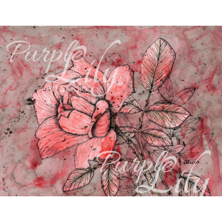 Red and Black Solitary Rose