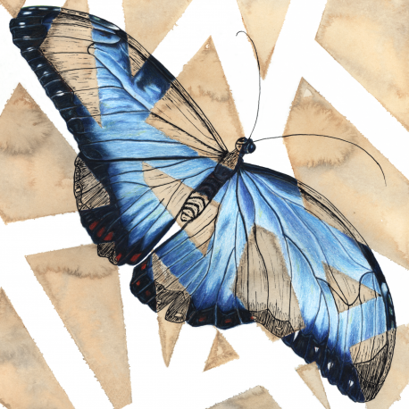 Blue Morpho Butterfly 8x8 Print