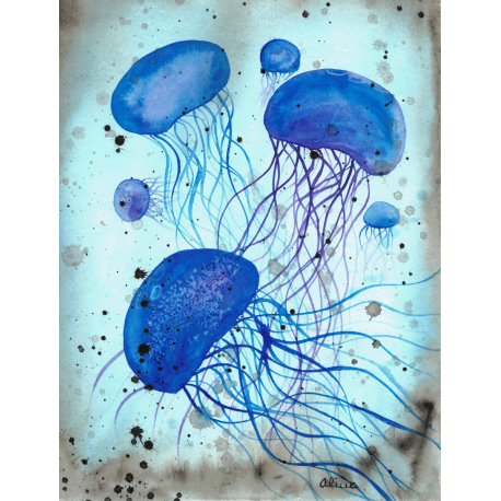 Serene Jellies