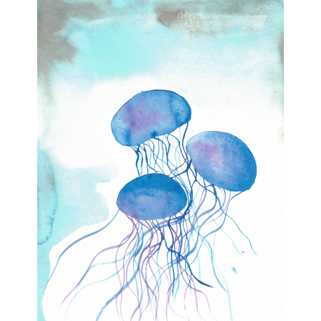 Underwater Jellies