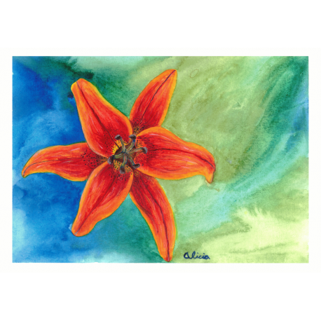 Wildflower (original)