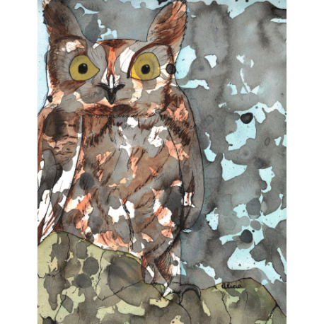 Owl Blending In (original)