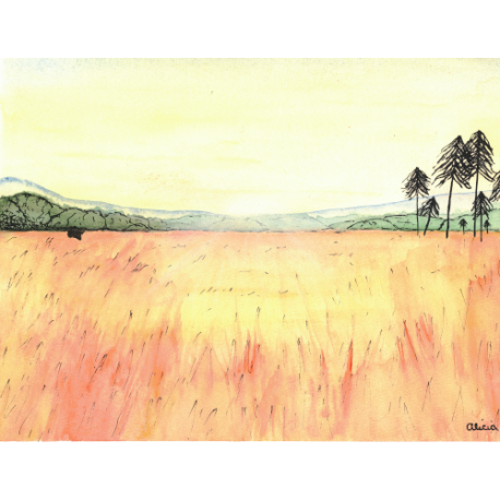 Golden Field (original)