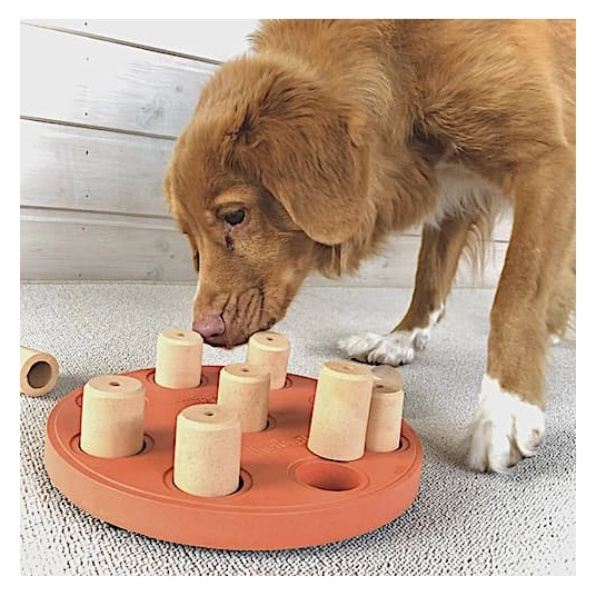 Nina Ottosson Dog Smart - Puzzle Dog Toy - Treat Puzzle