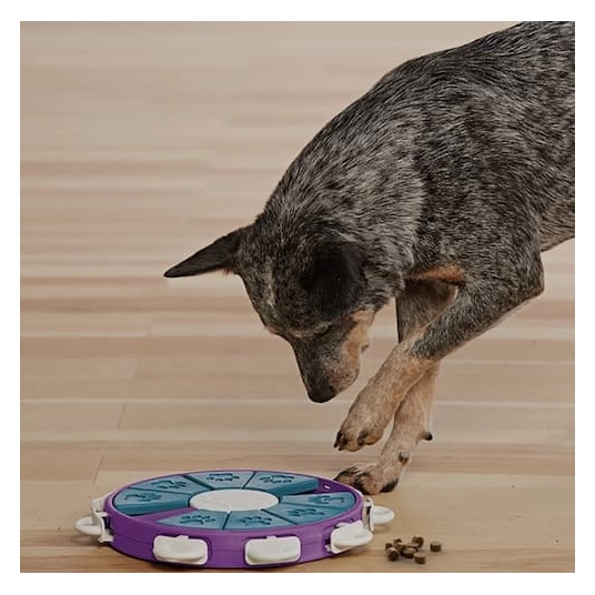 Nina Ottosson Dog Twister - Puzzle Dog Toy - Treat Puzzle