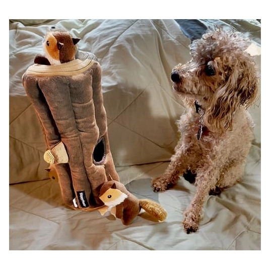 ZippyPaws Zippy Burrow Chipmunks Log - Puzzle Dog Toy - Hide and Seek