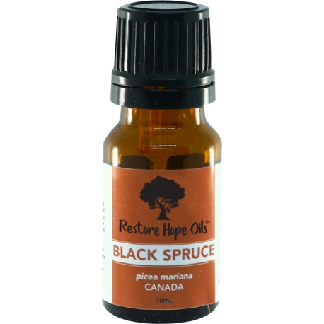 Black Spruce 10ml