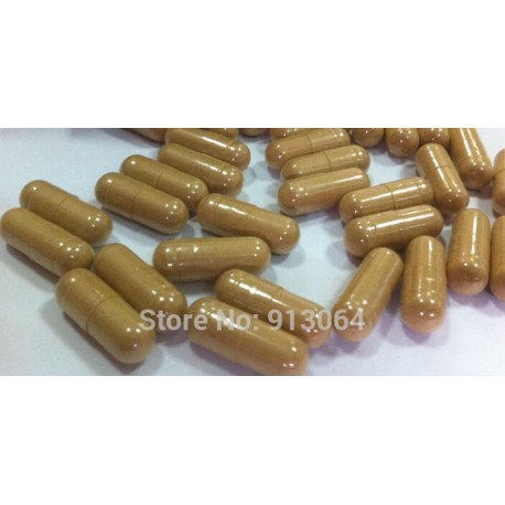 100 capsules Ganoderma lucidum Extract Powder 