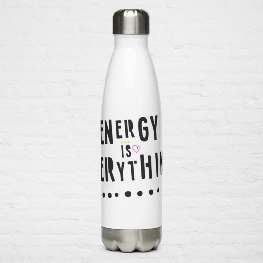 Stainless Steel Water Bottle, (DOL-EIE)