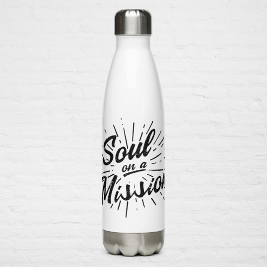 Stainless Steel Water Bottle, (DOL-SOAM)