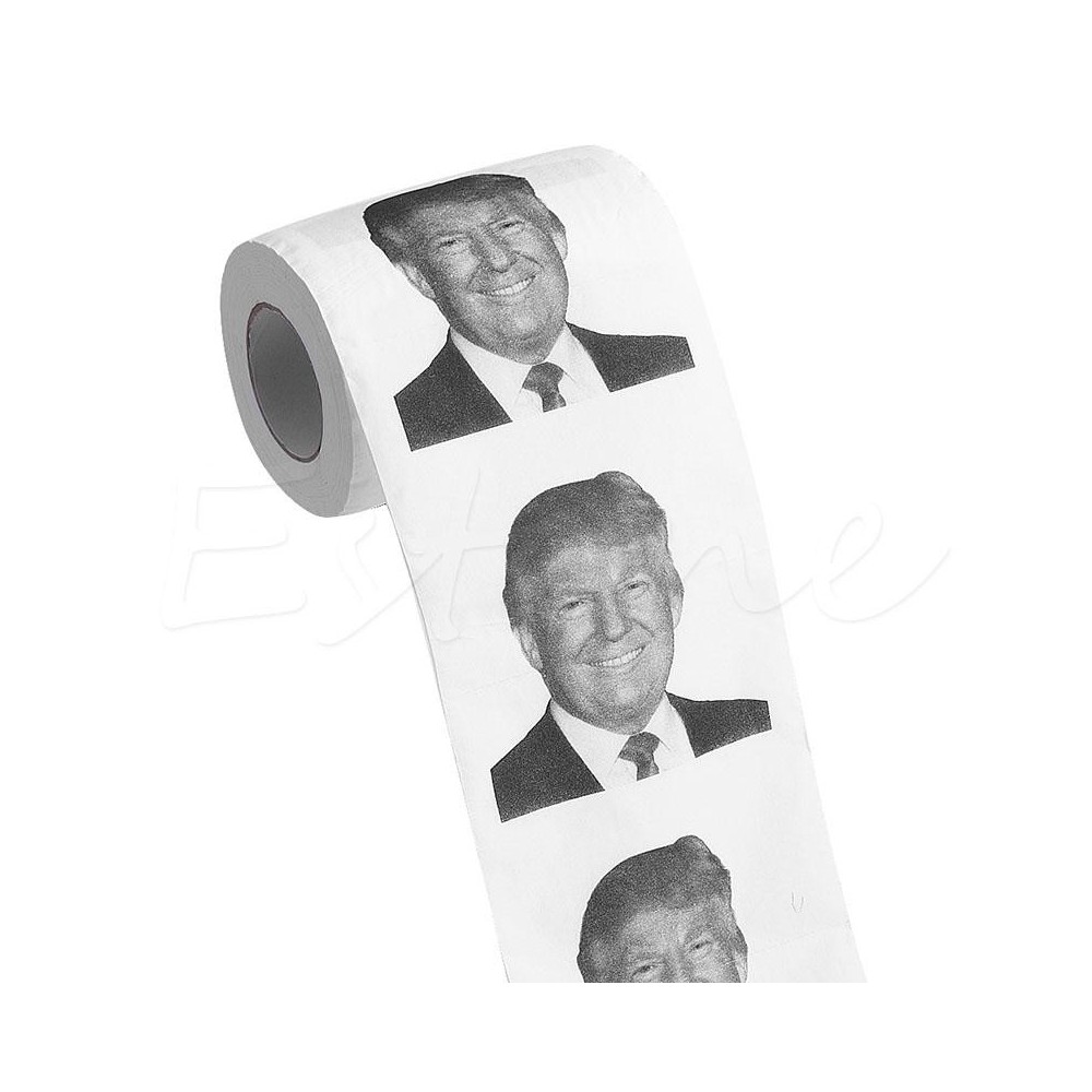 Type my top reflective essay on donald trump 04 image