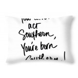 Southern Heritage Pillow