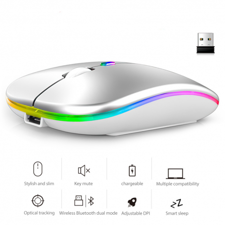 2.4G RGB LED Backlit Gaming Mouse