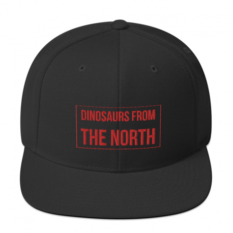 Dinosaurs From The North Snapback Cap