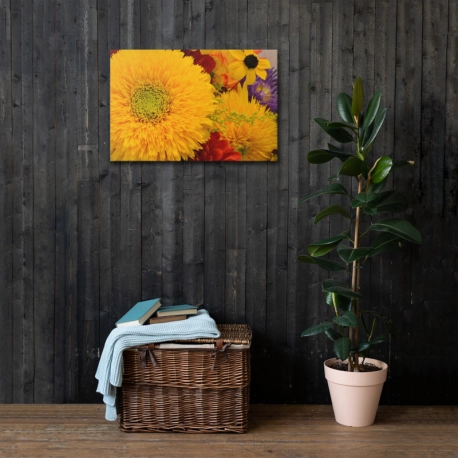 Thin Canvas (in)