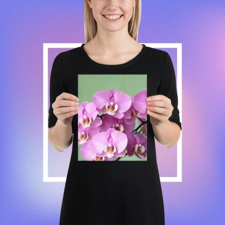 Enhanced Matte Paper Poster (in)