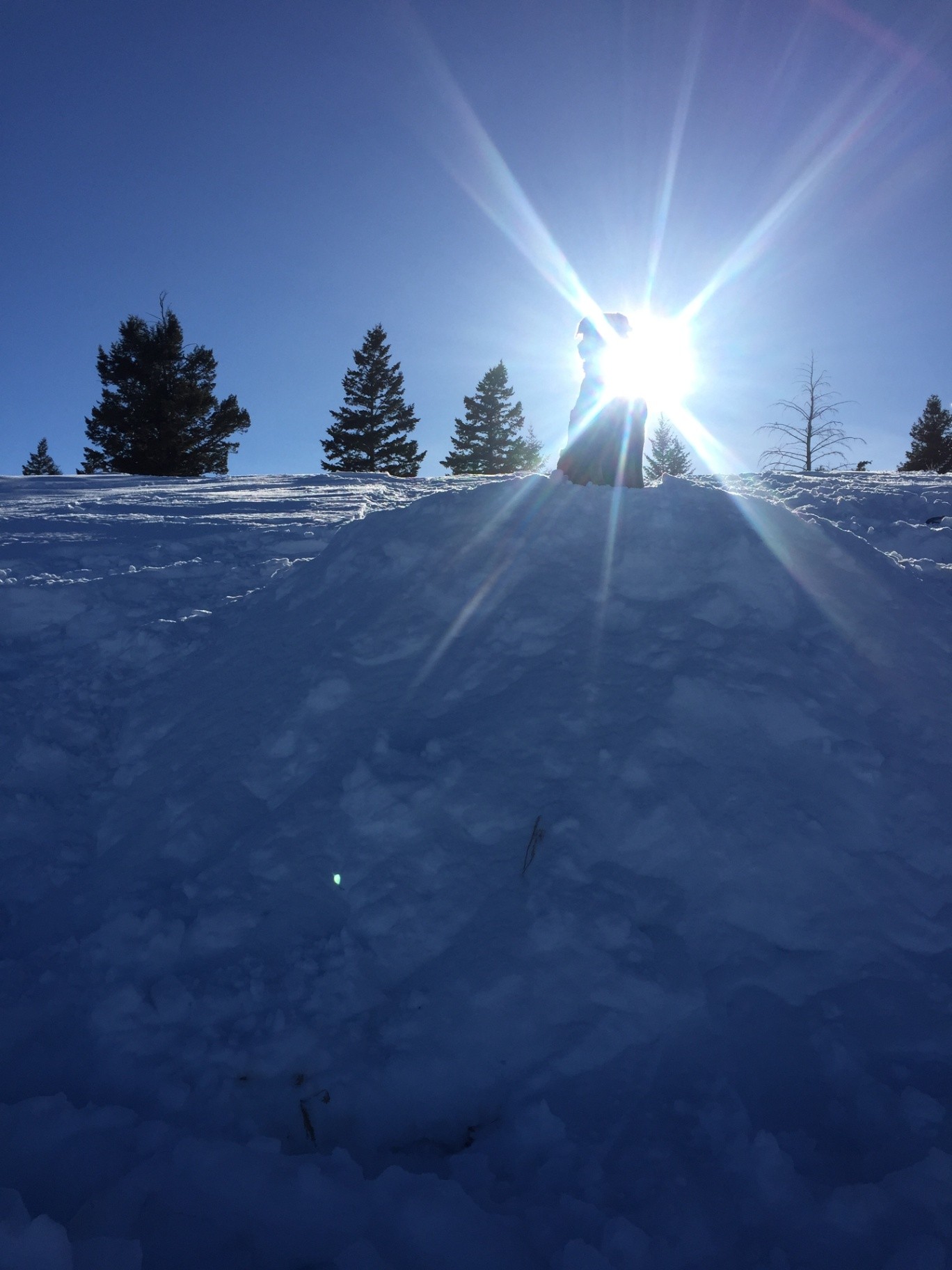 Snow Gear