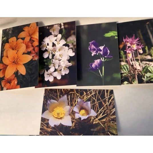 Flower Variety Package -  Blank Greeting Card