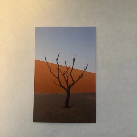 Desert Scape - Dune 45 Africa  Blank Greeting Card