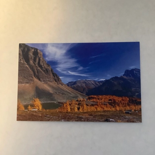 Larch Valley - Banff National Park   Blank Greeting Card