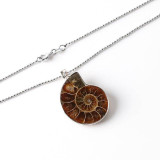 Natural Stone Ammonite Fossil Pendant Necklace
