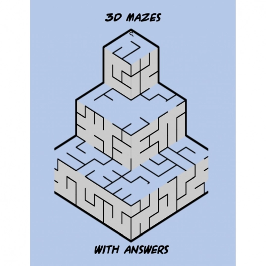 3D Mazes Activity Book series 1 book 1