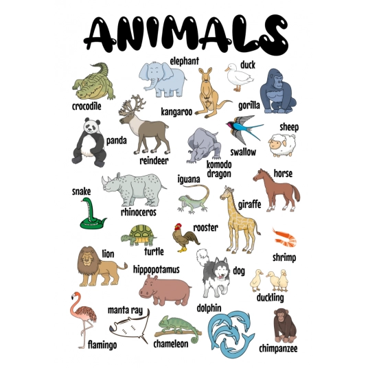 Animals Poster Giveaway