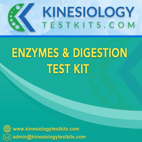 Enzymes & Digestion Testing Kit Plastic Box