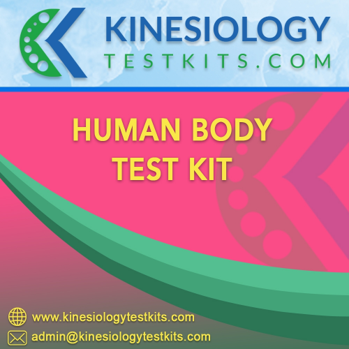 Human Body Testing Kit Plastic Box