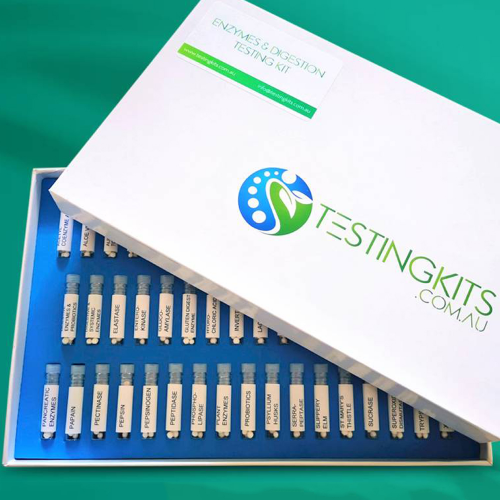 Enzymes & Digestion Testing Kit Flat Box