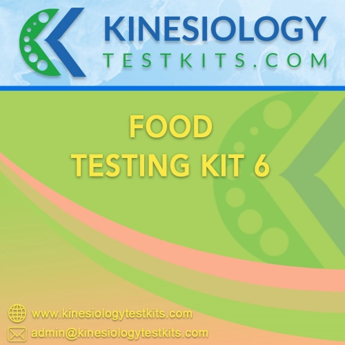 Food Testing Kit 6 Plastic Box