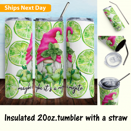 Summer Fun Gnome Tumbler Cup Perfect Gift for Gnome Collectors