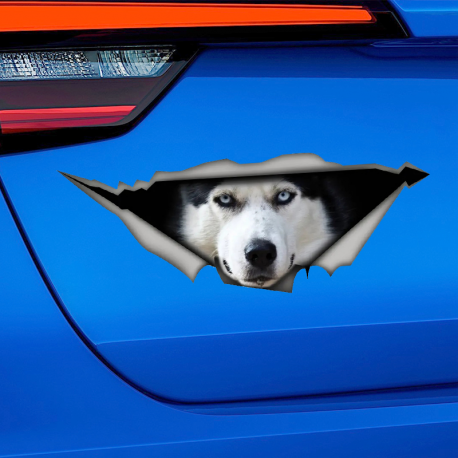 Husky Waterproof Self-adhesive Car Decal Sticker for Bumper, Rear Window
