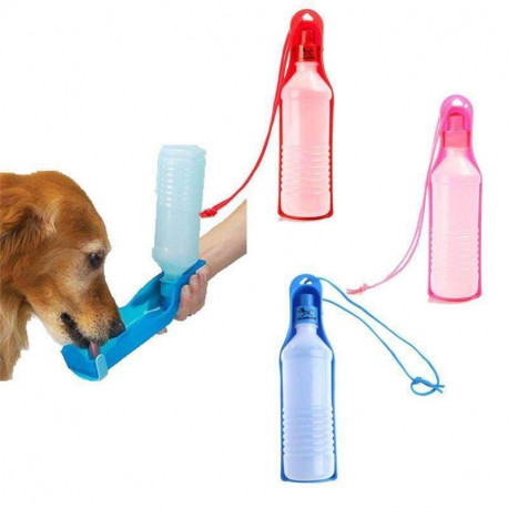 Foldable Dog Water Drinking Bowl Offer