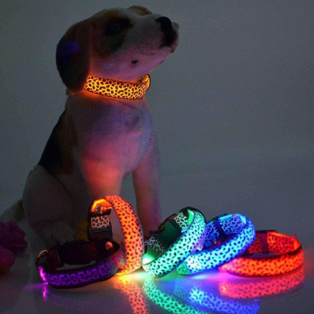 LED Dog Collar Giveaway