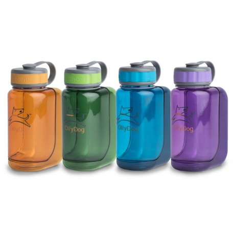Water Bottle - 600ml